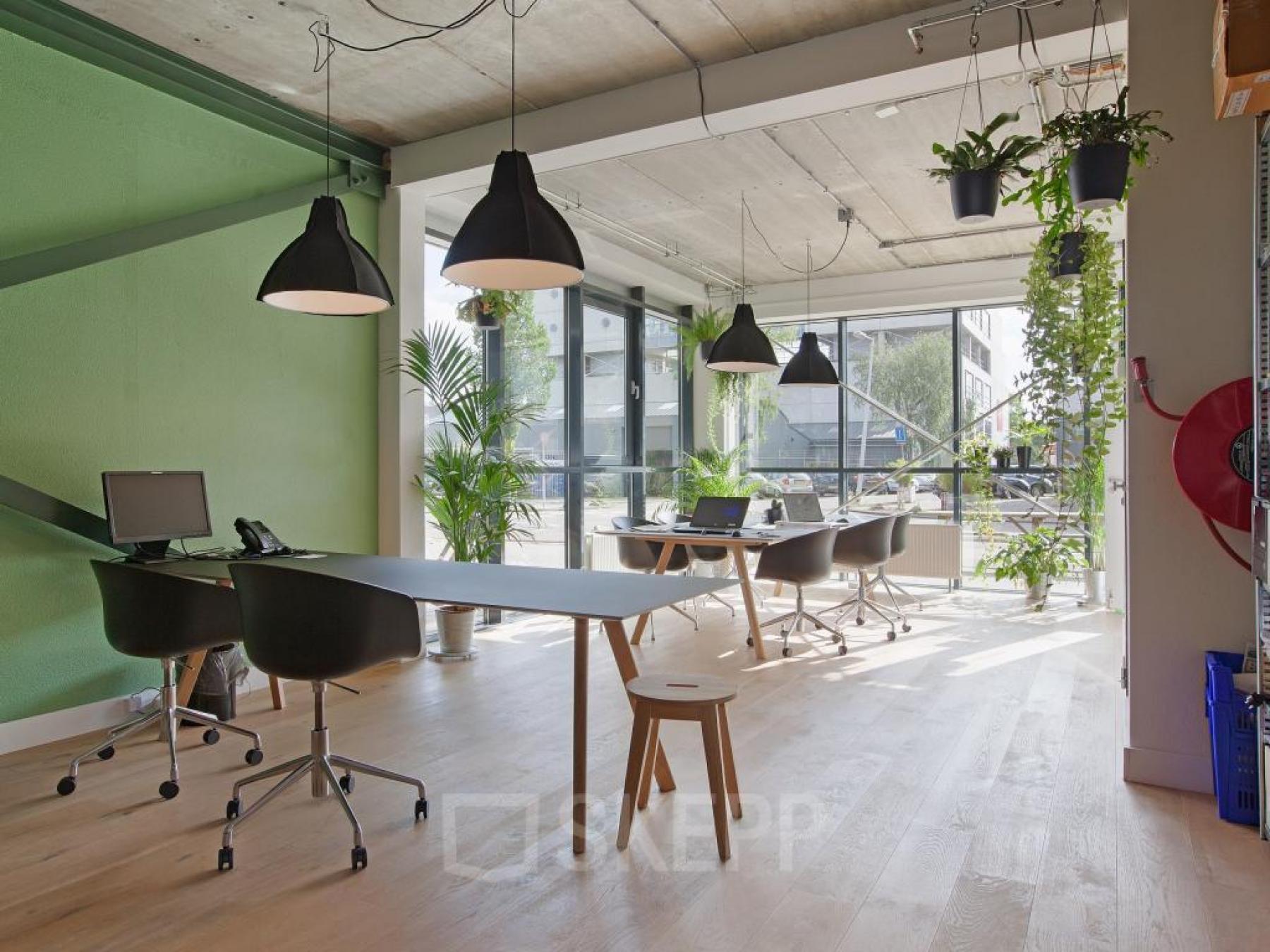 scandinavisch kantoordesign inrichting kantoorruimte kantoorplanten2