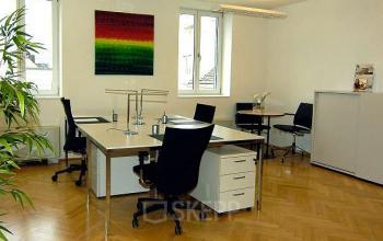 Großen und modernen Büroraum mieten in Wien 1010, Nagler