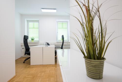 modern-office for rent vienna schloss schoenbrunn