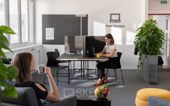 Helles Büro mit einer Person am Schreibtisch bei geschäftlicher Tätigkeit in der Anton-Baumgartner-Straße 125, ideal zum Büroraum mieten im Bezirk 1230 Wien Liesing.