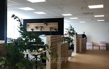 Modern office space rental at IZ NÖ Süd Straße 3, 2351 Vienna (Neudorf) featuring sleek furnishings and vibrant plant accents.