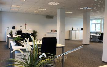 Moderne und helle Bürofläche mieten in der Badener Straße 12, 2700 Wien Neustadt, ausgestattet mit Arbeitsplätzen und Pflanzen.