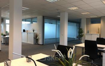 Modern gestaltete Bürofläche mieten in der Badener Straße 12, 2700 Wien Neustadt mit hellen Arbeitsbereichen und bepflanzten Akzenten