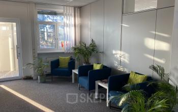 Heller und einladender Büroraum mieten in der Badener Straße 12, 2700 Wien Neustadt, mit bequemen Sitzgelegenheiten und Pflanzen dekoriert.