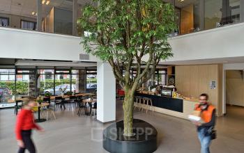 boom begane grond personen kantoorpand amsterdam zuidoost karspeldreef