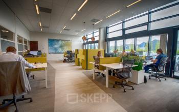 Modern office space with large windows, divided workstations, and professionals engaged in various business tasks, ideal for rent office space.