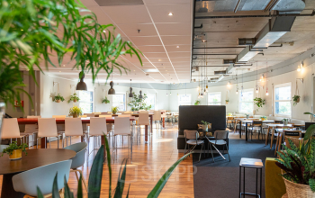 Bright and spacious office with modern furnishings and greenery, located at Stationsplein 49, ideal for rent office space in Amersfoort Centraal Station.