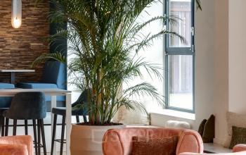 Stylish interior of an office lounge area at Vanadiumweg 11, Amersfoort Isselt, featuring modern furniture and a large plant, perfect for informal meetings or breaks.