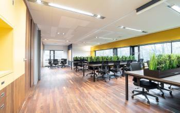 Modern office space with large windows, wooden flooring, and several desks equipped with chairs and greenery. Located at Prof. W.H. Keesomlaan 12, Amstelveen, available for office space rental.