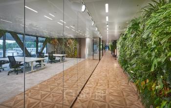 Modern office interior at Joan Muyskenweg 137, Amsterdam Amstel Business Park, featuring sleek glass walls and vibrant greenery, ideal for office space rental. Spacious workspaces visible in the background.