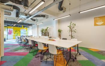 Interior view of an office space rental at Willem Fenengastraat 2 in Amsterdam Amstel Business Park, featuring a long table with chairs, colorful carpet, and green plants.