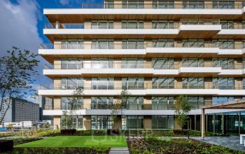 Exterior view of modern office building at Willem Fenengastraat 16, Amsterdam Amstel, showcasing multiple floors with large windows and a landscaped garden in the foreground.