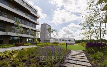 Exterior view of office buildings at Willem Fenengastraat 16, Amsterdam Amstel, showcasing a landscaped garden. Ideal location for office space rental.