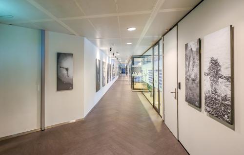 A modern hallway at Prins Bernhardplein 200, Amsterdam Amstel, features artistic decor and glass-walled office space rental on the side.