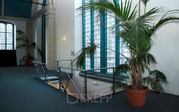 Spacious interior area with large windows and potted plants in an office to rent at Zuiderkerkhof 72, Amsterdam Center. Bright natural light floods the space, creating a welcoming atmosphere.