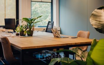 Furnished office space with desks and plants at IJsbaanpad 2, Amsterdam De Schinkel, perfect for rental.
