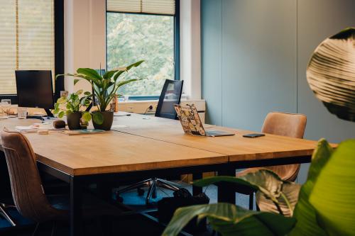 Furnished office space with desks and plants at IJsbaanpad 2, Amsterdam De Schinkel, perfect for rental.