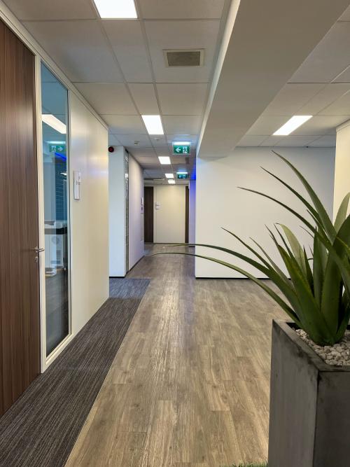 Bright corridor at Daalwijkdreef 47, Amsterdam Duivendrecht, ideal for office space rental, featuring modern design with wooden flooring and large planters.