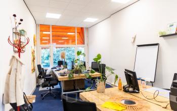 Bright and modern workspace with wooden desks and office chairs located at Herengracht 420 in the Amsterdam Canal Belt. Featuring ample natural light and greenery.