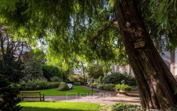 Lush garden view at Herengracht 582-584, Amsterdam Canal Belt, perfect for breaks from office space rental nearby.