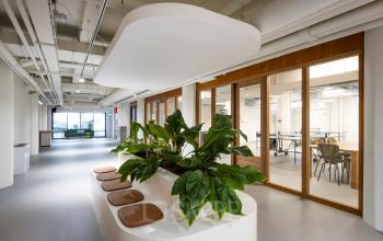 Bright, modern office space with a green plant arrangement and conference room view, perfect for office space rental in Amsterdam Houthavens.