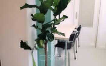 Rent office space Oostzaanstraat 28, Amsterdam (3)