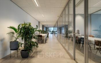 Spacious office area at Pedro de Medinalaan 7 in Amsterdam IJburg featuring modern glass partitions and lush greenery, perfect for office space rental.
