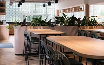 Modern office space rental at Overschiestraat 65 in Amsterdam New-West, featuring well-appointed workstations with vibrant plant decor.