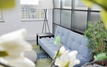 blue couch with nice light and flowers in front