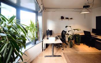 Modern office to rent at Hamerstraat 24, Amsterdam North, featuring bright workspaces with large windows and abundant greenery, offering a vibrant and inviting environment for productivity and creativity.