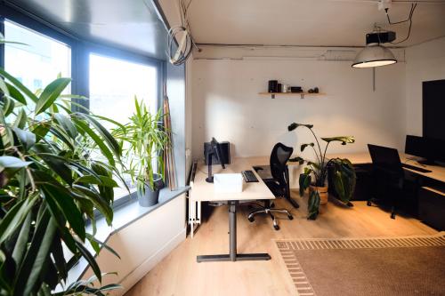 Modern office to rent at Hamerstraat 24, Amsterdam North, featuring bright workspaces with large windows and abundant greenery, offering a vibrant and inviting environment for productivity and creativity.