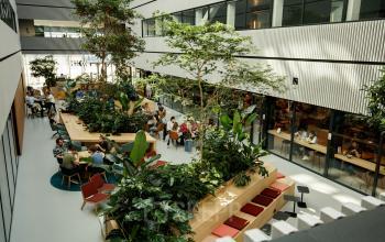 Modern interior at Science Park 301, Amsterdam East, featuring lush greenery and collaborative workspaces. Ideal for office space rental, the environment promotes creativity and productivity with open-plan seating and natural light.