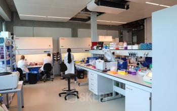 Interior lab space at Science Park 301, Amsterdam East, showing researchers at workstations with lab equipment. Ideal for specialized office space rental.