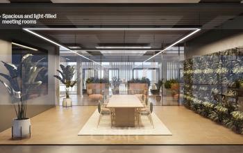 Modern office interior at Jacob Bontiusplaats 9, Amsterdam Oost, featuring a spacious meeting room with a large table, comfortable chairs, and green plants.