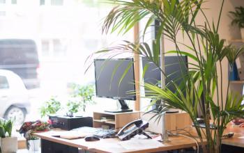 working place for rent in Amsterdam