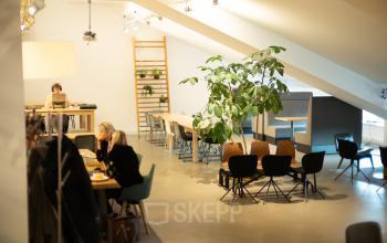 Spacious office with modern furnishings, located at Olympisch Stadion 24-28, Amsterdam Old South. Features multiple workspaces, tables, chairs, and a large plant. Several people engaged in business discussions and work activities.