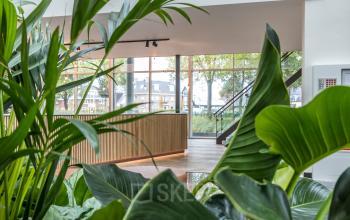 Bright office entrance at John M. Keynesplein 4-10, Amsterdam Riekerpolder, featuring large windows and greenery, ideal for office space rental.