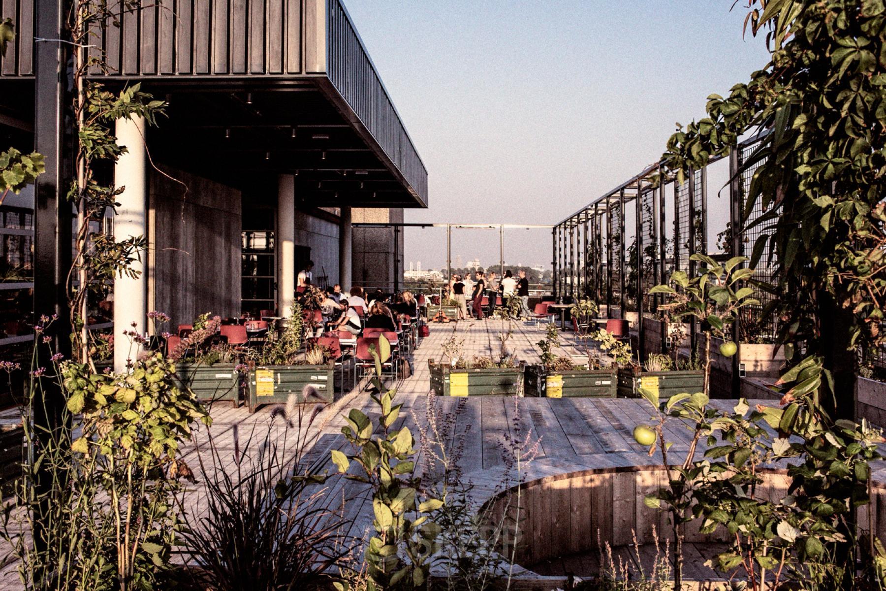 Diverse professionals gather on a vibrant terrace office space rental at Johan Huizingalaan 761-763 a, Amsterdam Riekerpolder.
