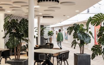 Modern furnished workspace at Arlandaweg 92, Amsterdam Sloterdijk with desks, chairs, and lush plants.