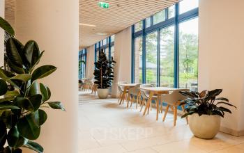 Bright office space in Amsterdam South East with large windows and potted plants, ideal for office space rental.