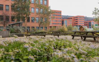 Exterior view of Hullenbergweg 109-135 office building in Amsterdam South East, featuring outdoor benches and landscaped greenery, offering a tranquil setting for office space rental.