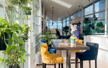 Bright office space rental at De Entree 230, Amsterdam South East with tall windows, indoor plants, and colorful seating area.