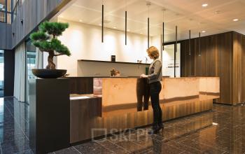 Modern reception area at Strawinskylaan 3051 office to rent in Amsterdam Zuidas with stylish design elements and business professionals at work.