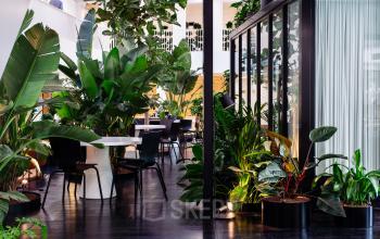 Lush office space with abundant greenery at Fred. Roeskestraat 115, Amsterdam Zuidas. Modern glass partitions and sleek black chairs enhance the inviting atmosphere, ideal for businesses seeking a vibrant workspace. Office space rental available.