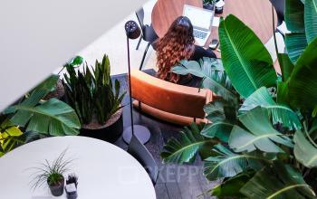 Modern workspace in Amsterdam Zuidas with lush plants and round tables. Professionals engaged in business activities create a dynamic environment. Ideal for office space rental.