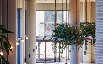 Spacious office area at Hildegard Von Bingenstraat 44, Amsterdam Zuidas, featuring modern decor, hanging plants, and ample natural light, ideal for office space rental.