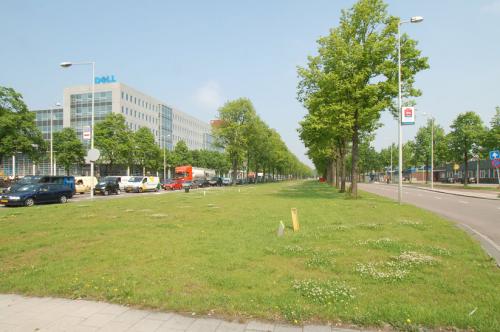groene omgeving amsterdam