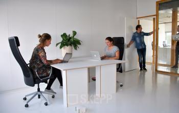 tafel stoel plant muren wit modern