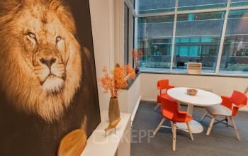 Zakelijke ruimte met vergadertafel en vier rode stoelen in kantoor te huur aan de Uitbreidingstraat 84, Antwerpen Berchem. Groot raam met uitzicht op het tegenoverliggende gebouw. Decoratieve leeuwenschilderij en bloemenvaas.