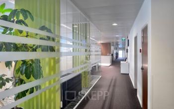 Bright and modern hallway in an office available for rent at Lange Lozanastraat 142, Antwerp Center, featuring sleek glass partitions and a vibrant plant.